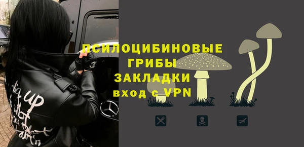 гашик Лагань