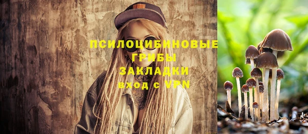 дживик Балабаново